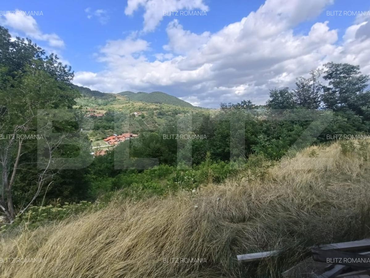 Cabana la rosu 150 mp cu teren de 3500 mp in Ampoita - 4