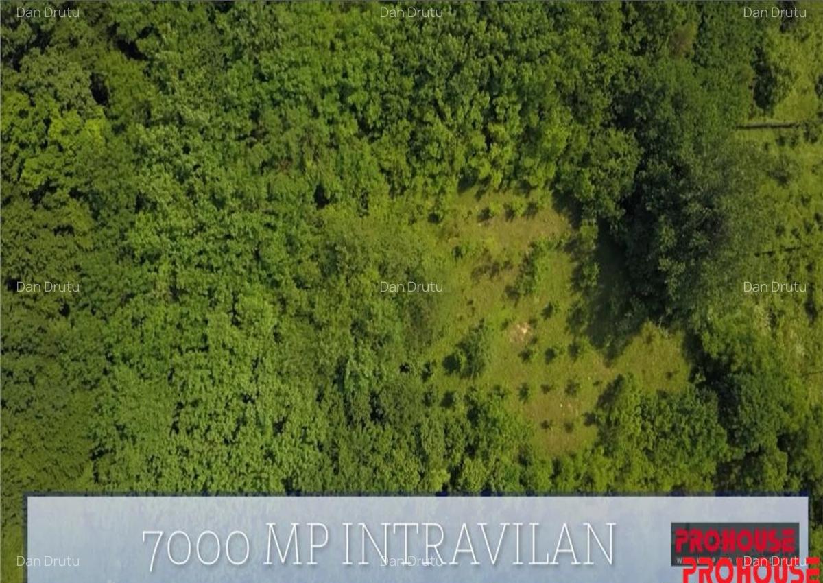 Valea Budului - Teren intravilan. Lac. Padure - 15