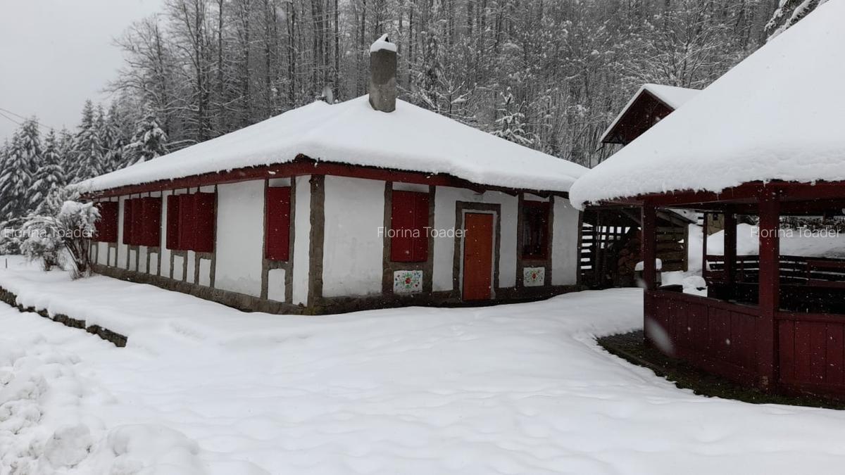 Casa de vacanta Crivaia, langa Valiug -locatie idilica, ideala pentru timp liber - 22