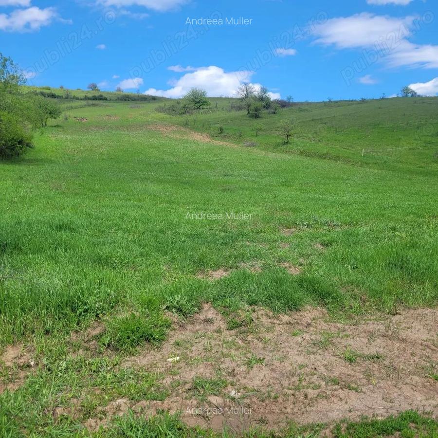 Teren zona com. Sanpaul, jud. Cluj - 3