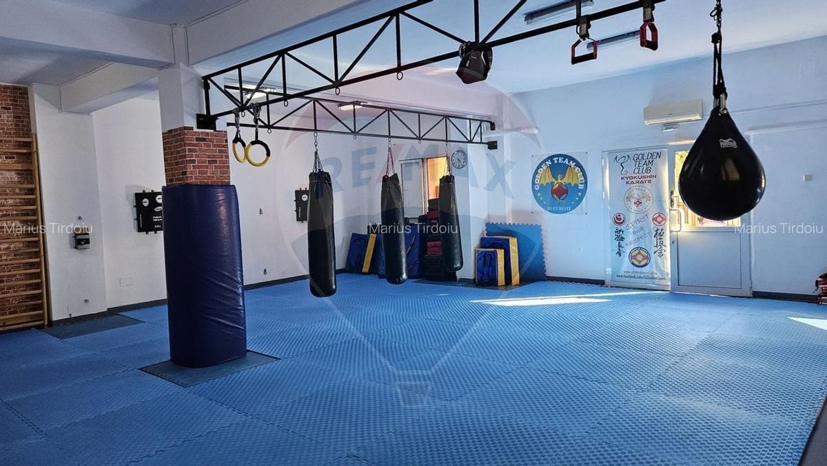 Vila spatioasa si versatila - Zona Margeanului, Bucuresti - 4