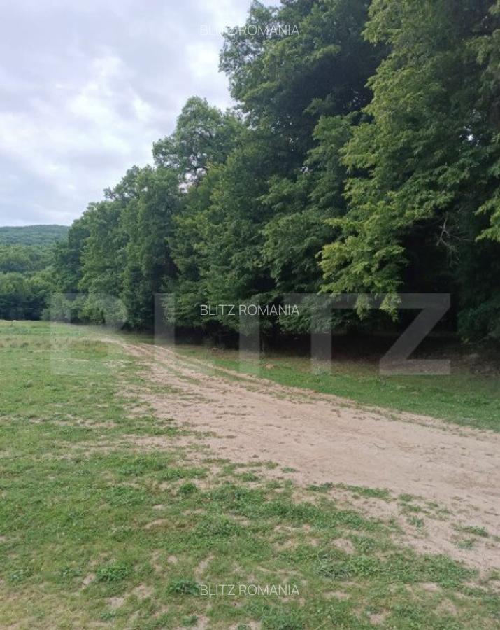 Teren pentru cabana /pensiune locatia perfecta pentru relaxa - 2