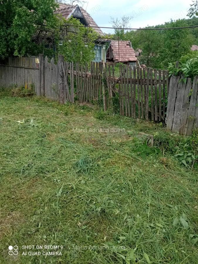 2 case de vinzare IN BOIAN - 1