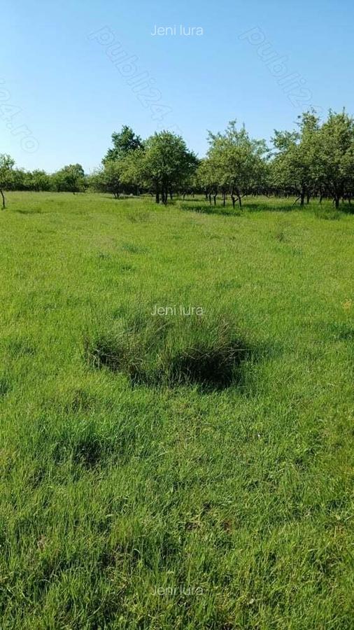 REDUCERE DE PRET! Teren in zona Sub Dura ,40 ari pentru constructii industriale - 3