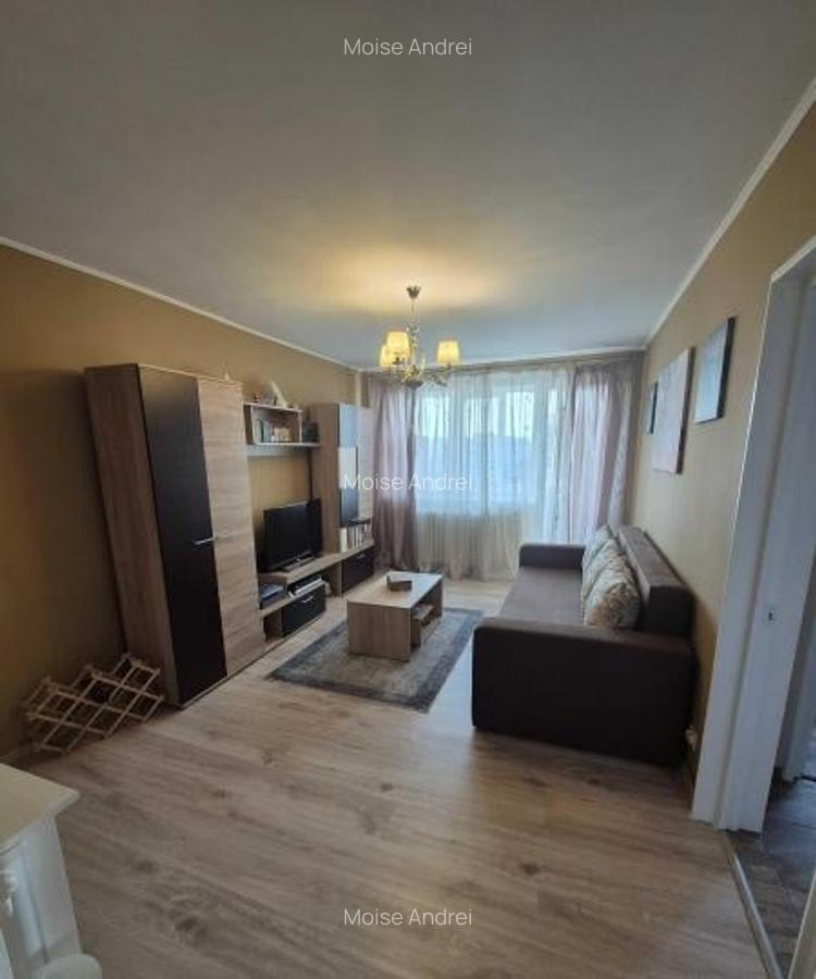 Apartament 2 camere Parc Drumul Taberei - 3