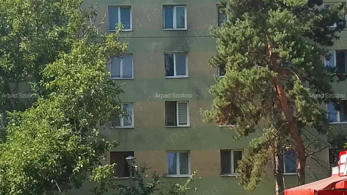 Vand garsoniera - 2