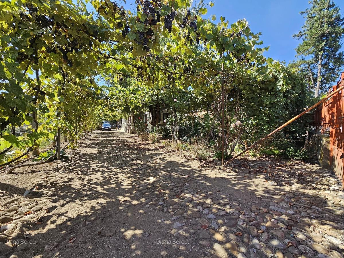 Casa in Șotânga, Teiș - 1