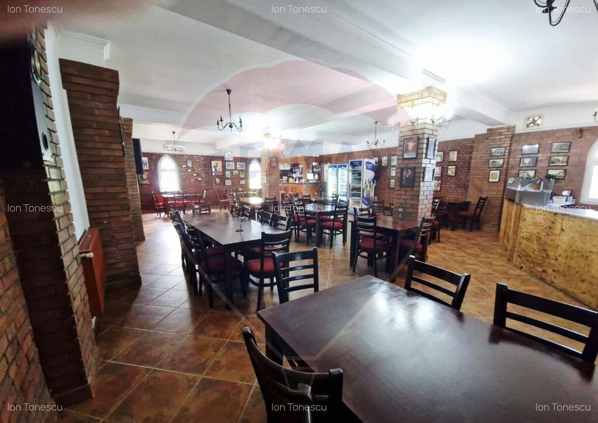 AFACERE DE VANZARE - RESTAURANTUL DON CHIRIAC - 22