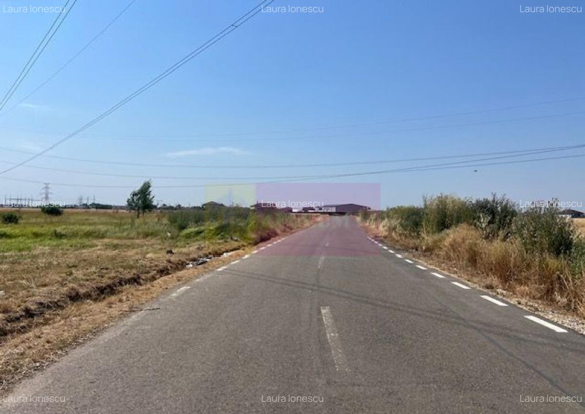 Teren Domnesti- Fortului. - 5