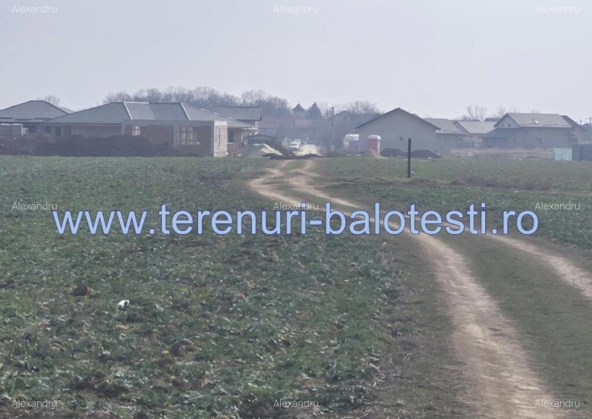 Teren intravilan Balotesti,langa ansamblul Terra si padure, 17000 euro - 7