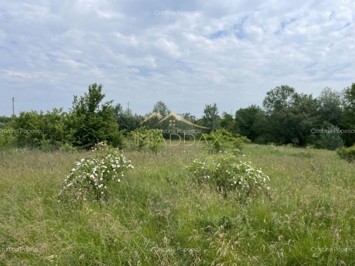 Teren intravilan***1439 mp***Cretesti-Vidra-Ilfov - 16