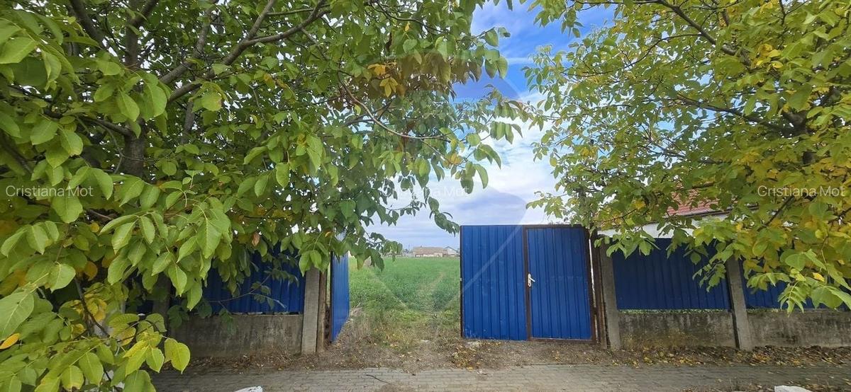 Teren si casa cu teren generos in Socodor - 24 Teren si casa cu teren generos in Socodor - 24