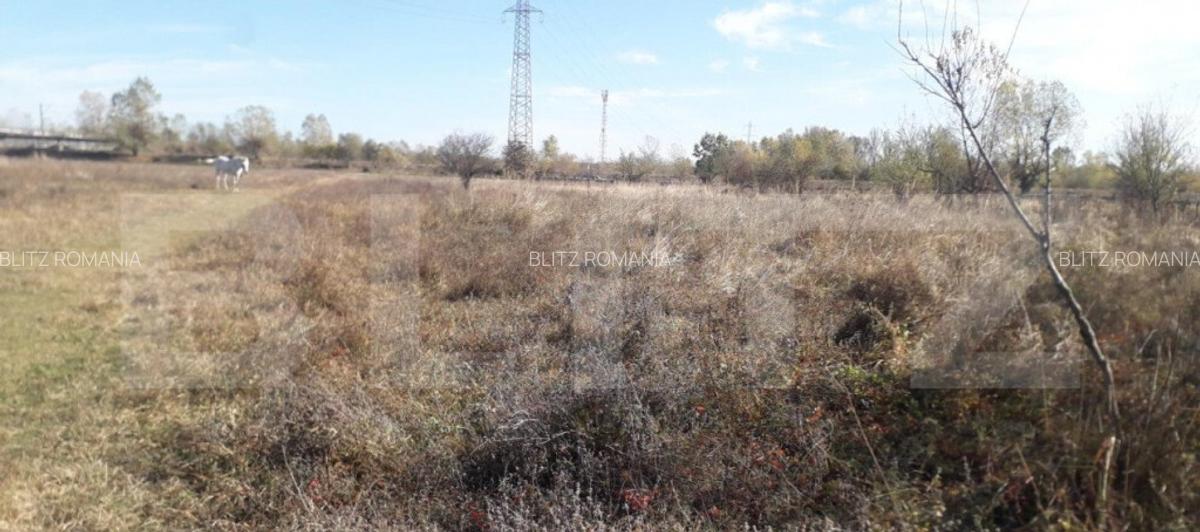 Teren 7240mp, zona Prelungirea Panduri - 6