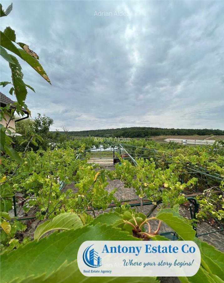 LAKESIDE HOME - Paleu - 2