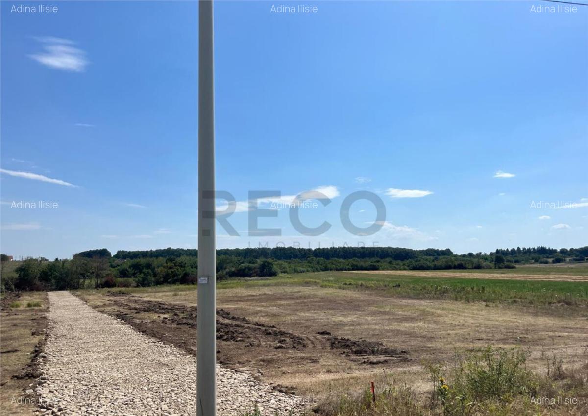 RECO Teren intravilan pentru casa- Les cu PUZ aprobat - 4