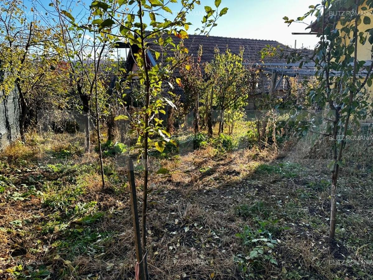 Casa primitoare, ideala pentru familie sau mica afacere - 8