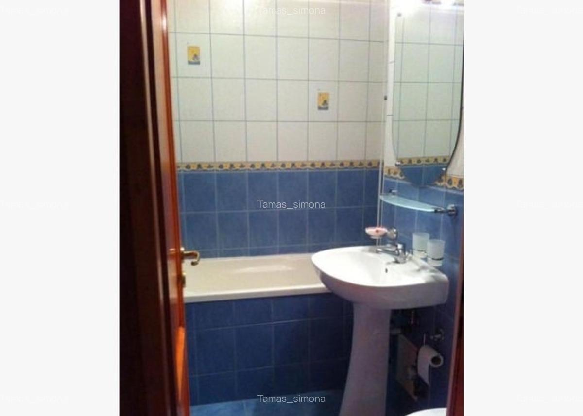 Soseaua Pantelimon-apartament 3 camere - 5