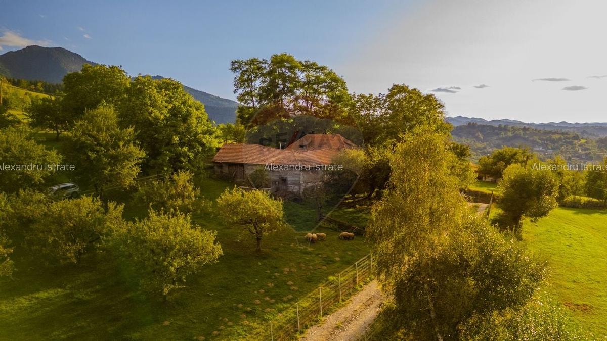 Teren intravilan cu PRIVELISTE UNICA |BRAN, BV| 3,000mp | COMISION 0 | - 8