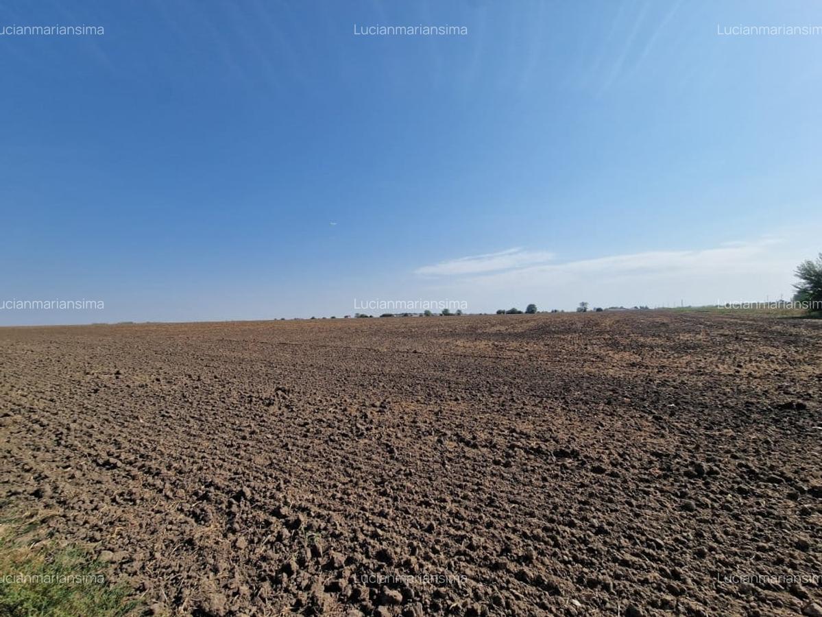 De vanzare! Teren (9100 mp) in Tunari! - 9