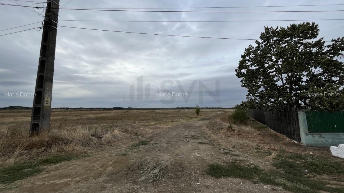 REL4001196 Teren intravilan construibil zona rezidentiala - 1