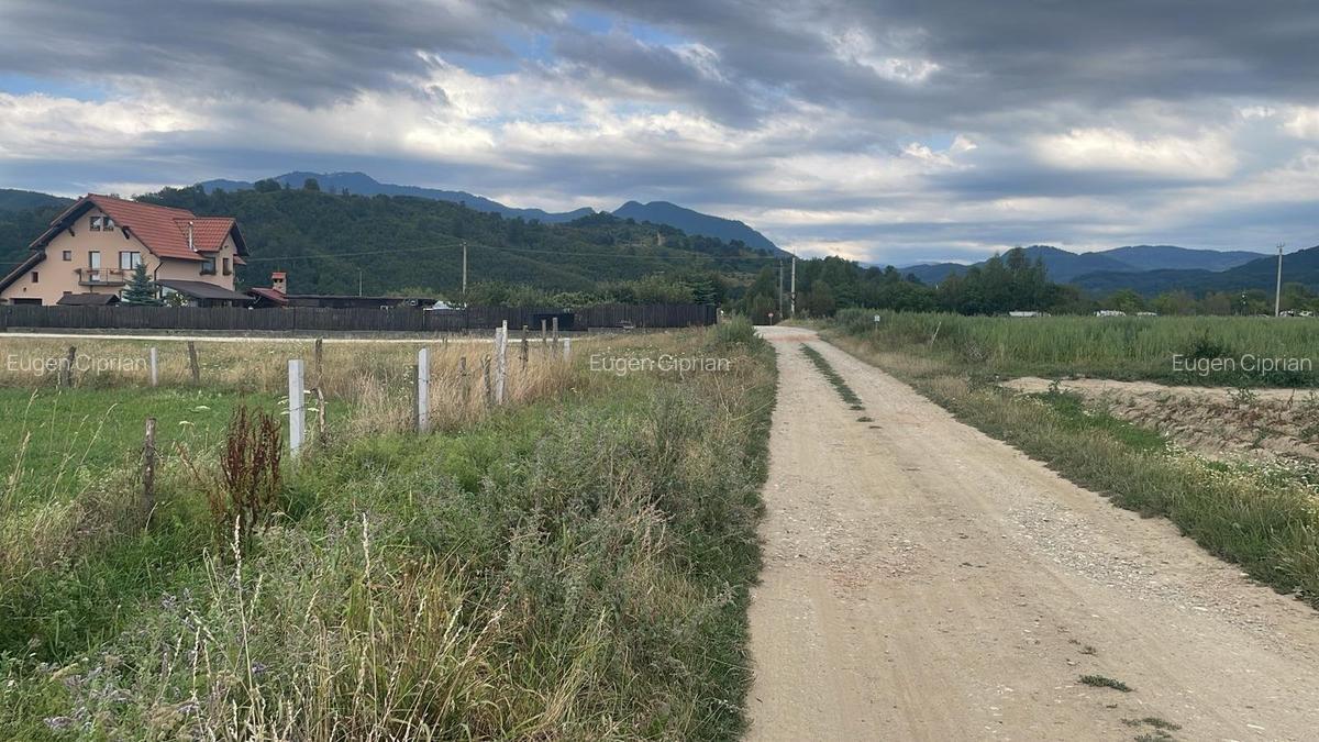 Teren Construcții intravilan de 9940 mp, în Glăjărie - 4