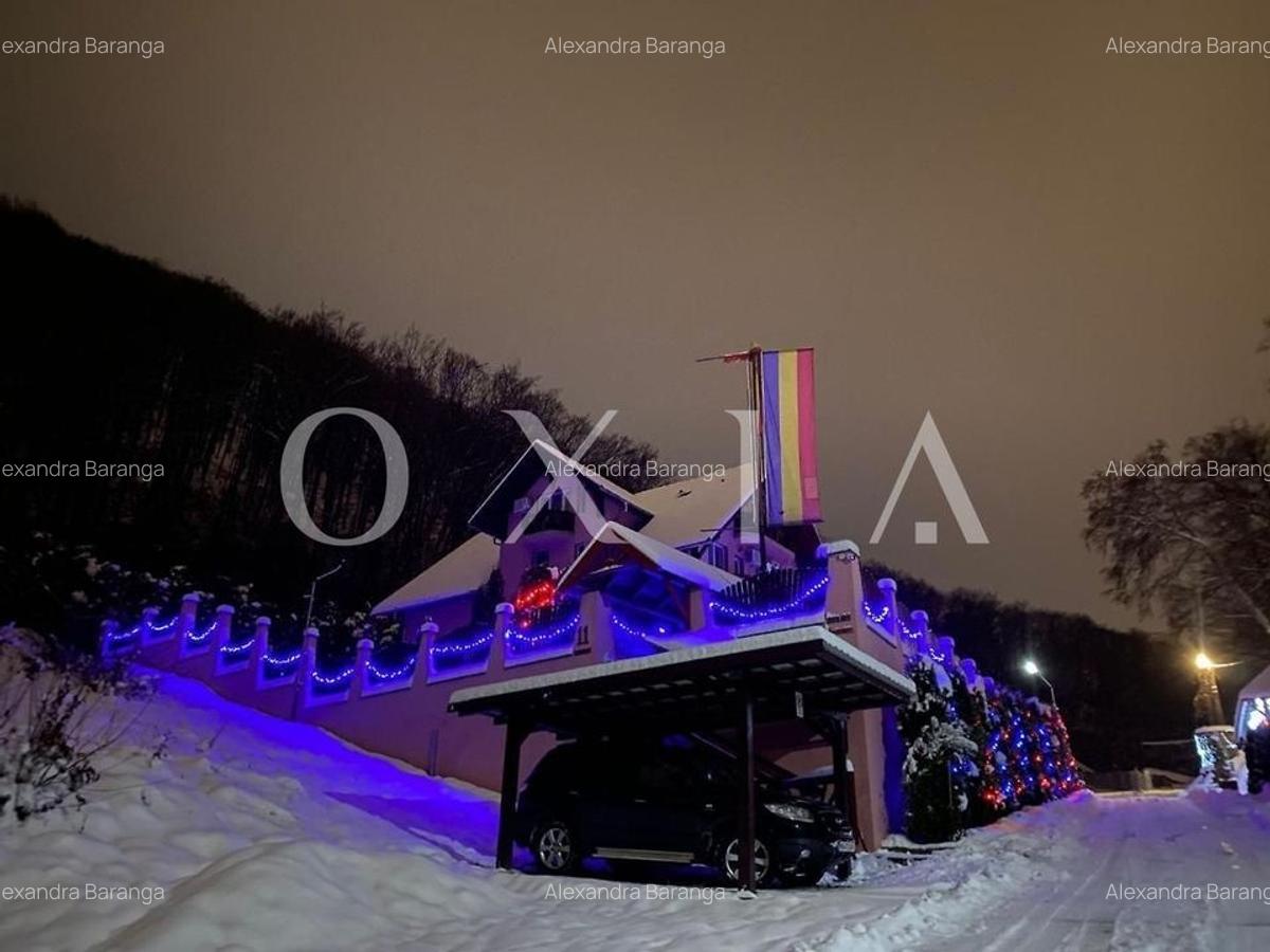 AX949 Pensiune Exclusivista In Inima Statiunii Sovata - 27