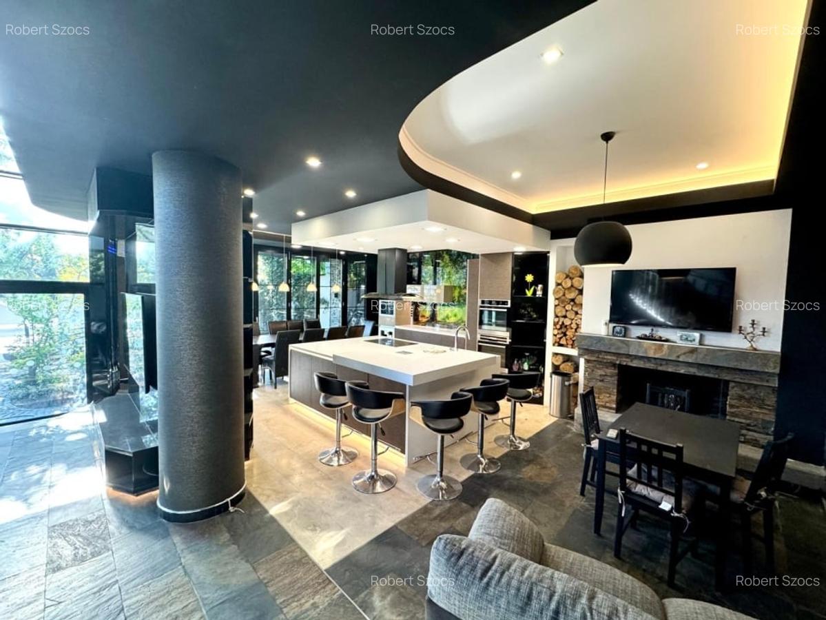 Vila premium 455 mp, destinatie rezidentiala/comerciala-Carrefour Colentina! - 3