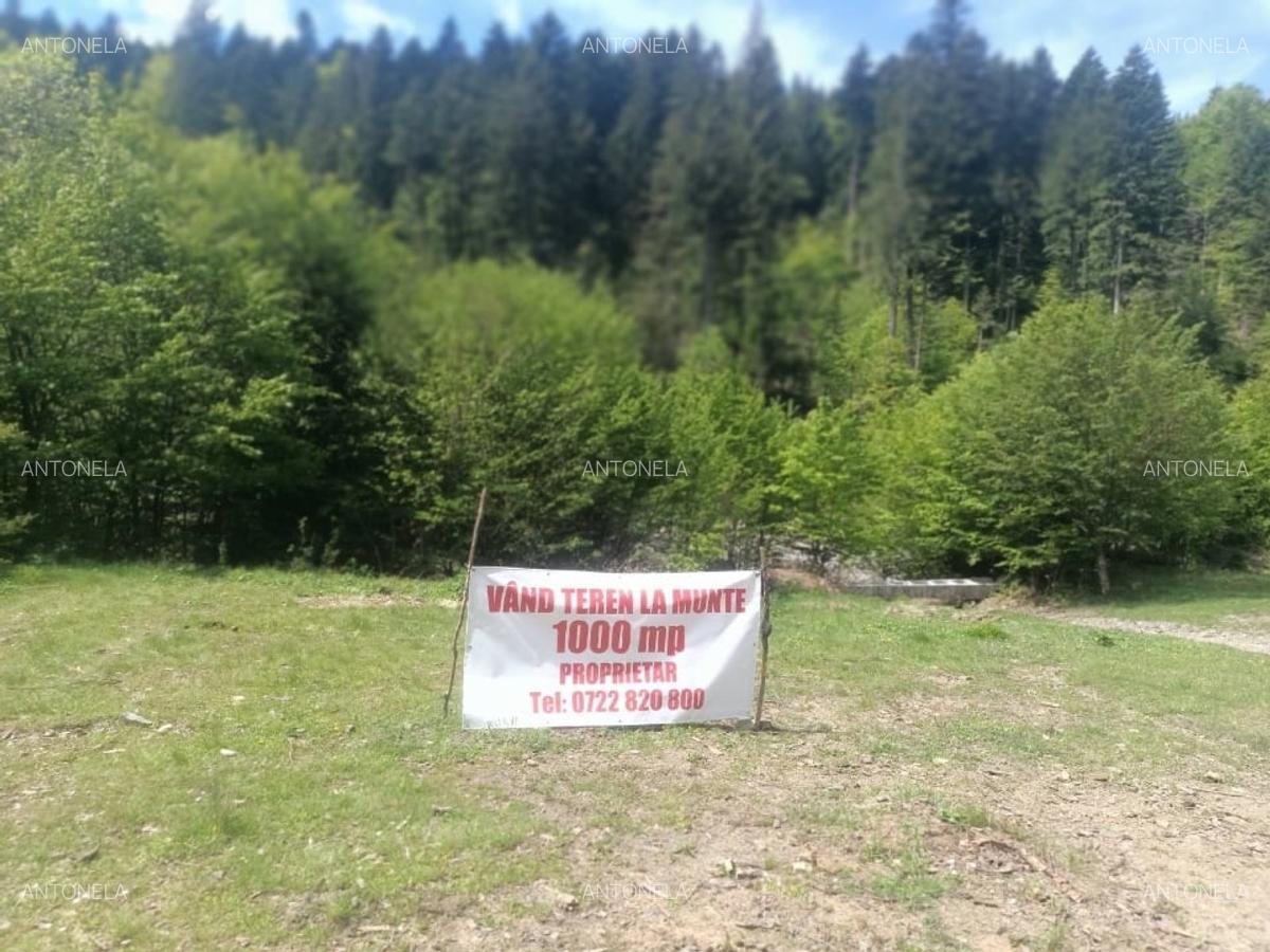 Vnd teren la munte, zona foarte frumoasă - 3
