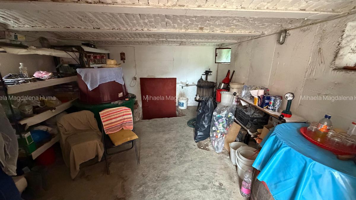 Casa de vacanta la 100m de strandul cu apa termala - 10