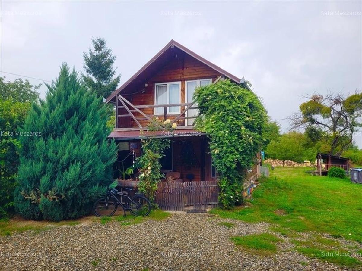 FILM! Resedinte montane,mobilate,echipate, jacuzzi,piscina,pretios areal,Sambata - 38