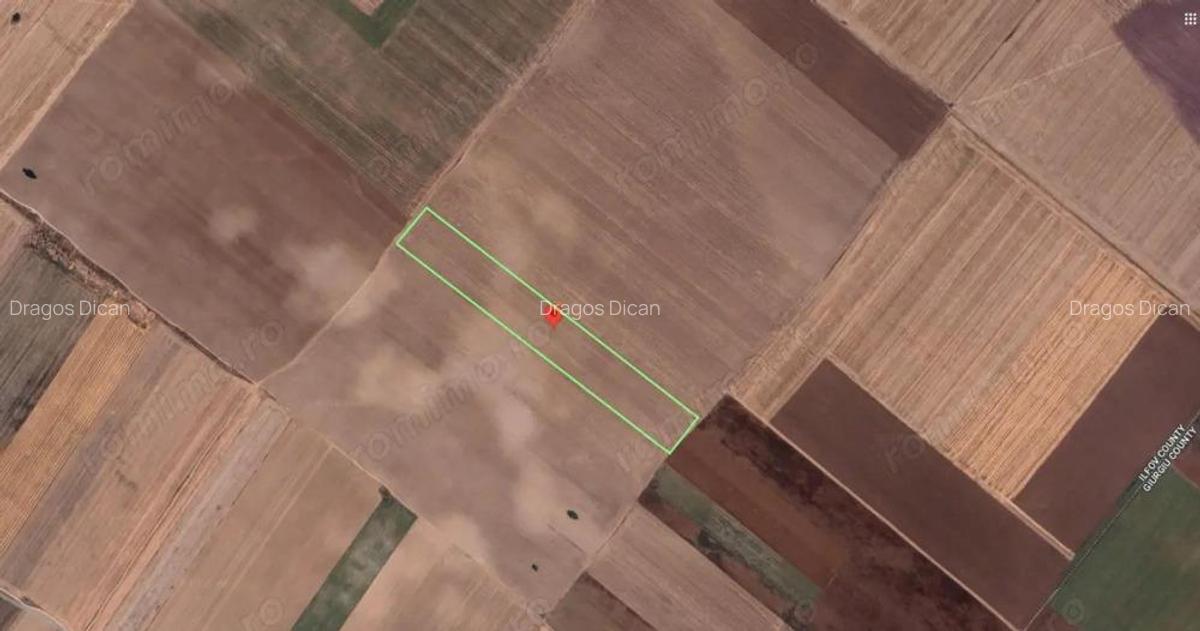 Teren Extravilan In Rate Primaverii Com. Berceni | 12.576mp | #EG41 - 1