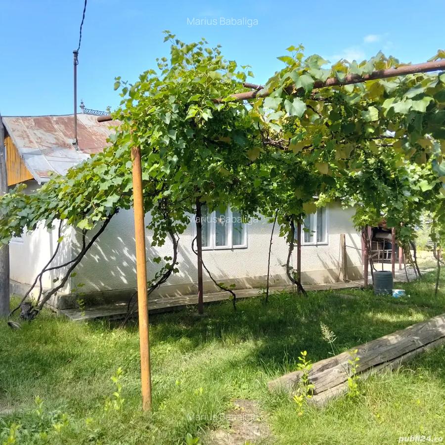 Vand Casa - 1