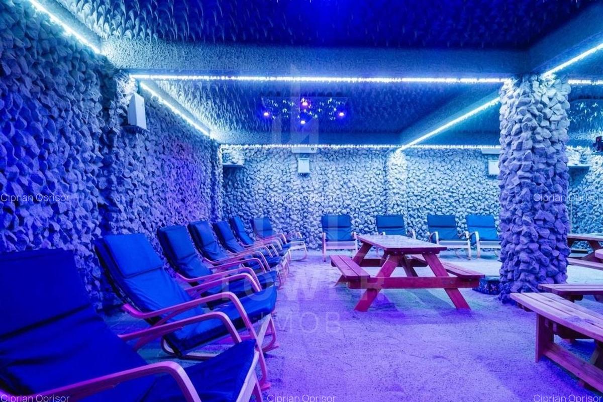 Afacere Profitabilă de Vânzare-Salină Artificială Funcțională în Ocna Sibiului - 3