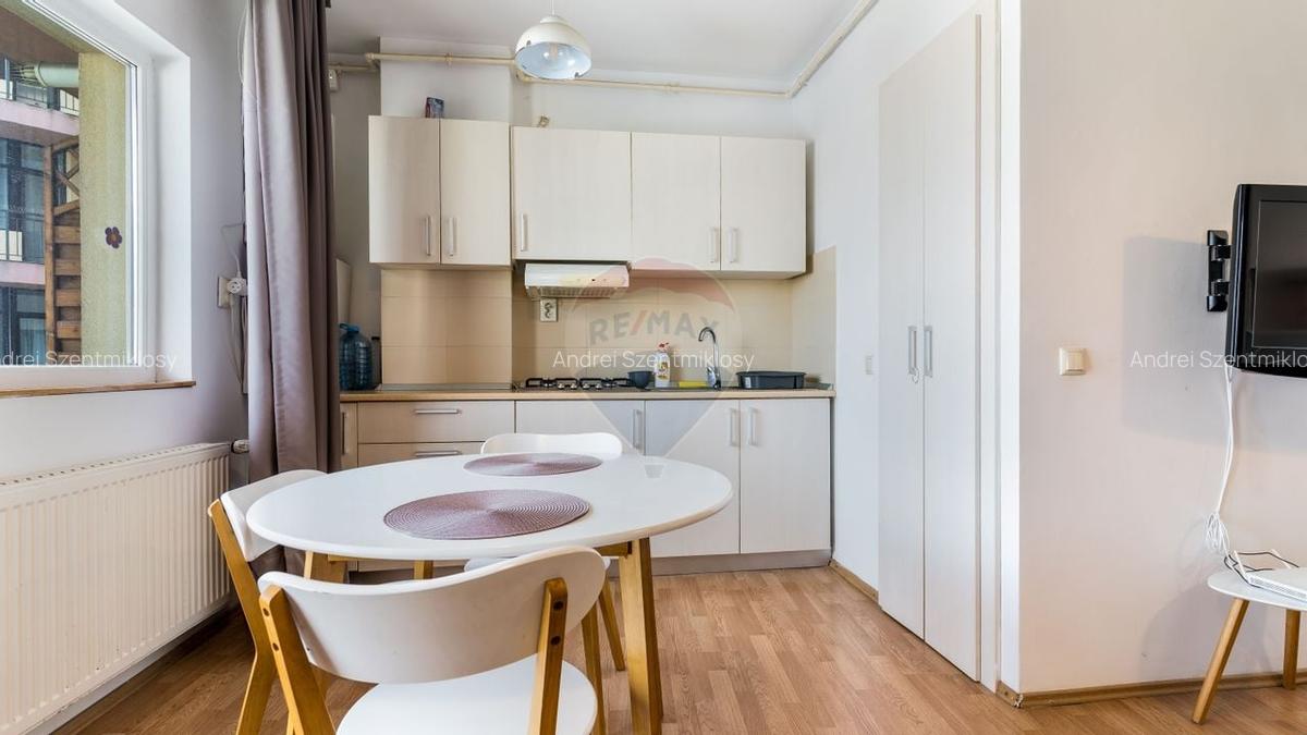 Apartament cu 2 camere semidecomandat, mobilat în Zorilor - 12