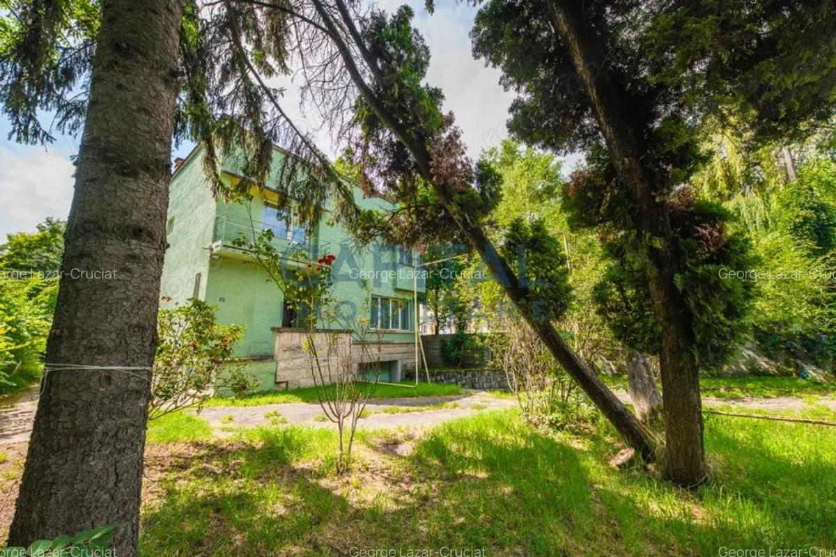 Teren generos ?i casa deosebita langa Parcul Central oportunitate rara in Cluj - 3