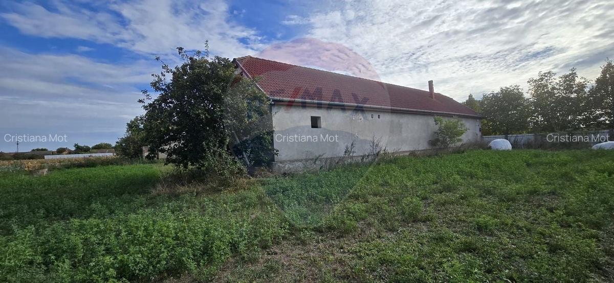 Teren si casa cu teren generos in Socodor - 18 Teren si casa cu teren generos in Socodor - 18