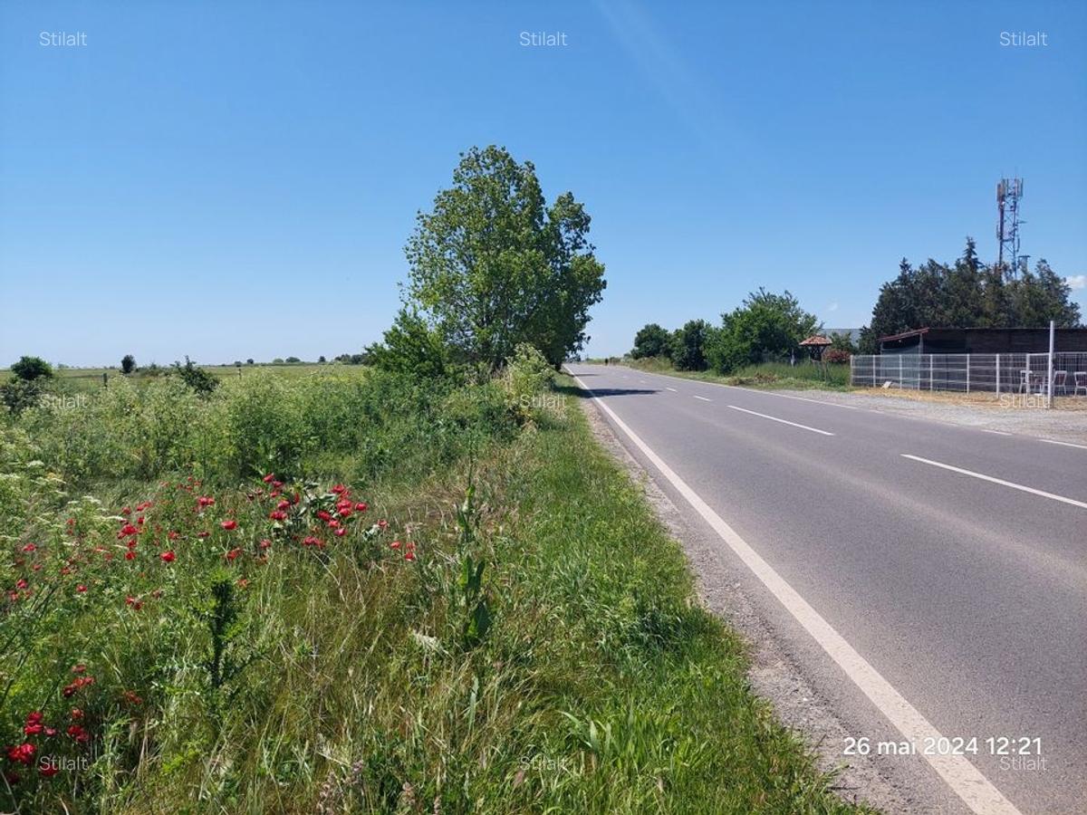 Teren  intravilan  540 mp / Vama Veche - 7