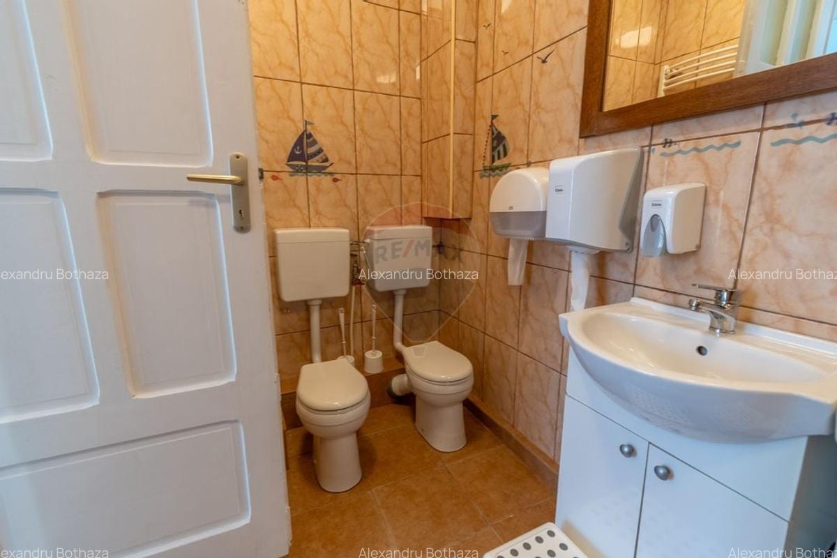 Casa de inchiriat in Andrei Muresanu, str. Anatol France - 21