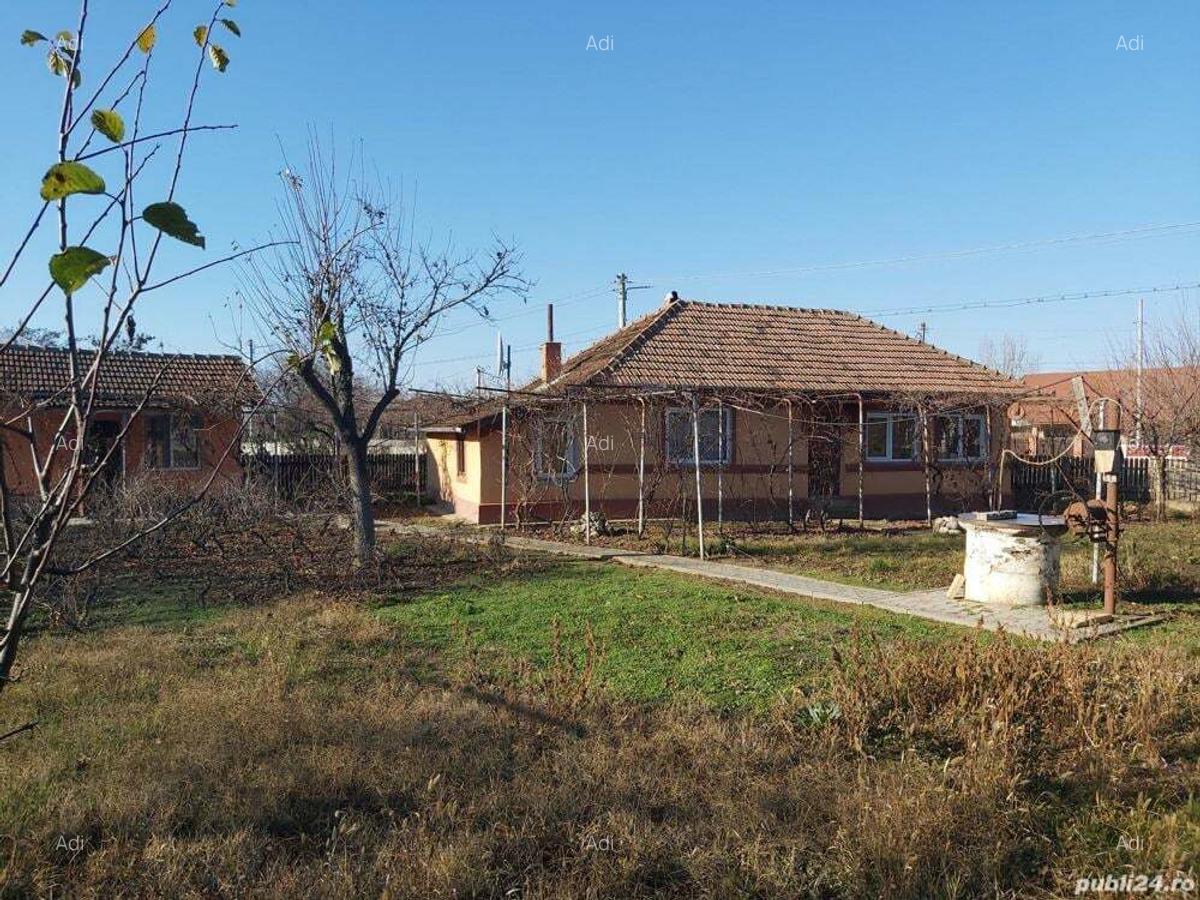 Teren plus casa de vanzare in Andrasesti Ialomita - 8