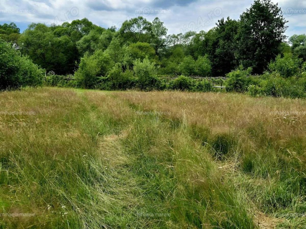Comision 0%, teren 900 mp, Sinca Noua - 4