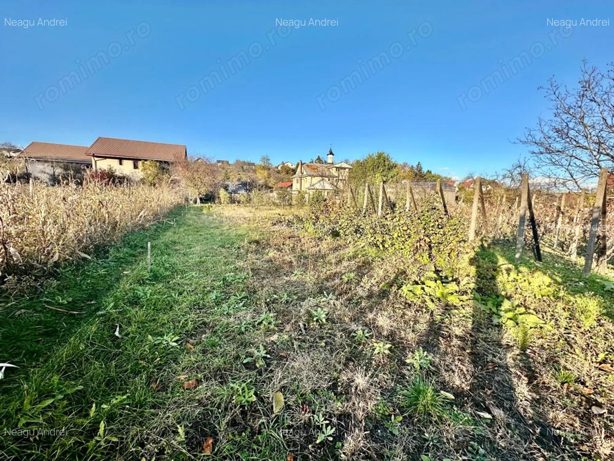 De Vanzare , TEREN in suprafata de 1900 mp , cu CASA BATRANEASCA - 4