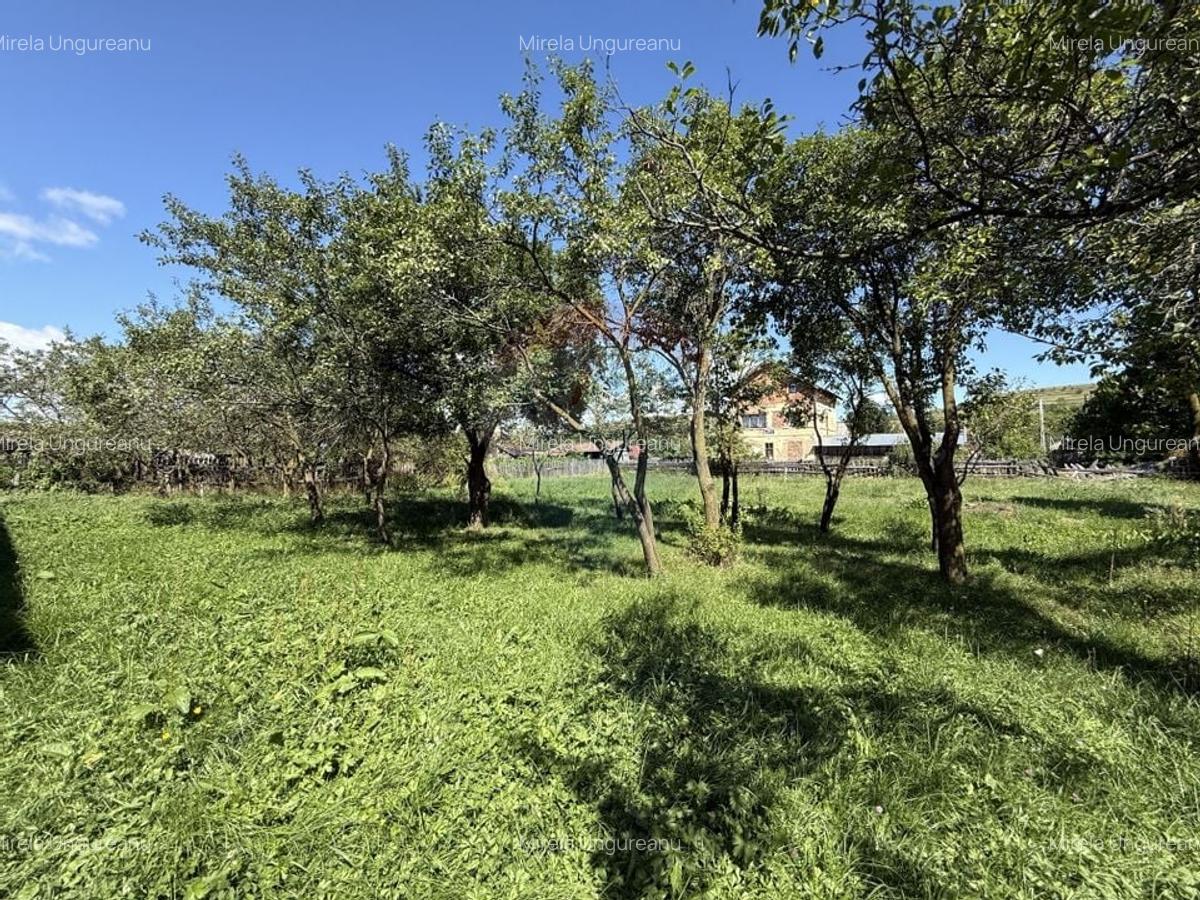 Casa la tara | Calatele | Teren 2100 mp | Exclusivitate | Comision 0% - 6