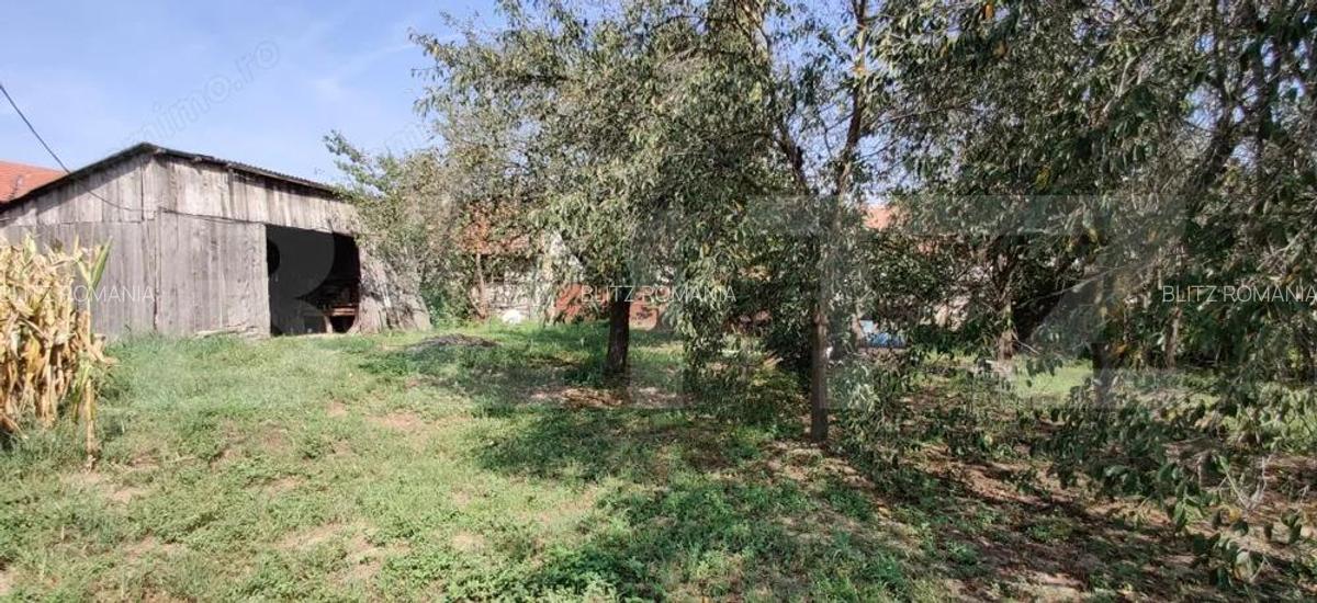 Casa mare cu gospodarie completa Belin?, jude?ul Timi? teren 4.900 mp - 17