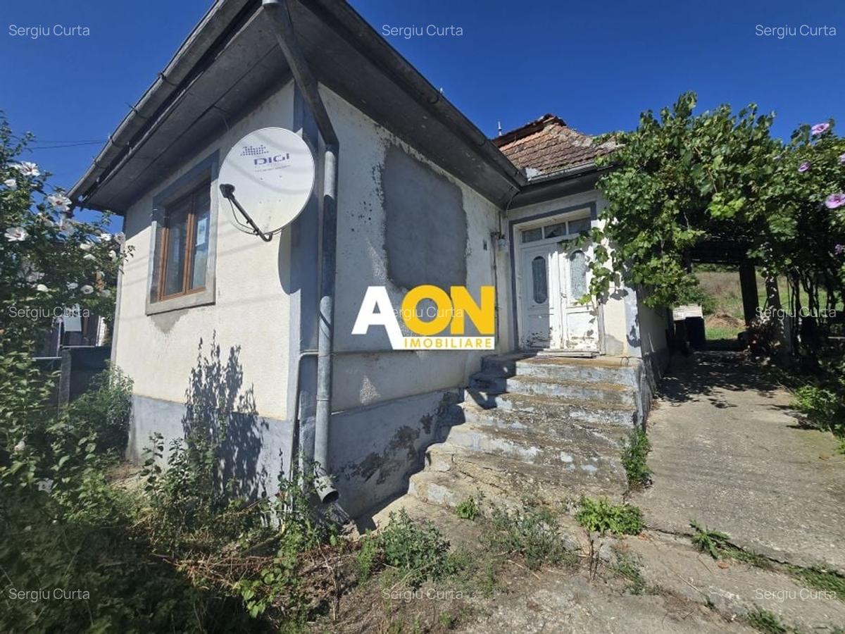 Comision 0%! Casa 3 camere Gura Ariesului, 1500mp Teren - 3