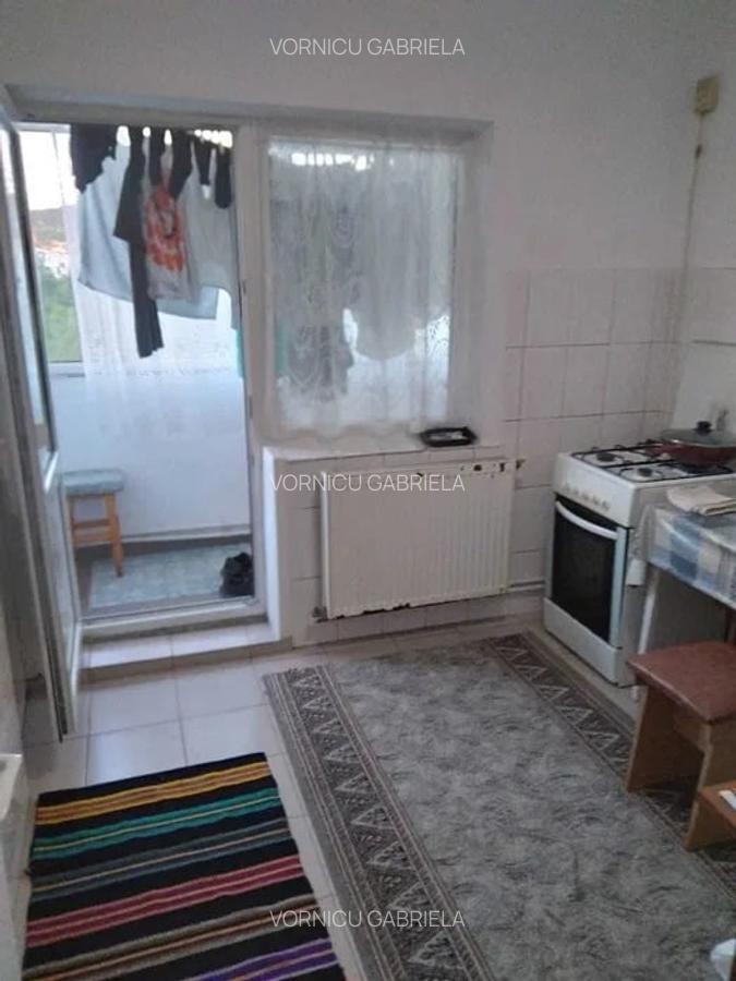 Apartament cu 1 camera decomandat, etaj 3/8, zona Alexandru cel Bun - 5