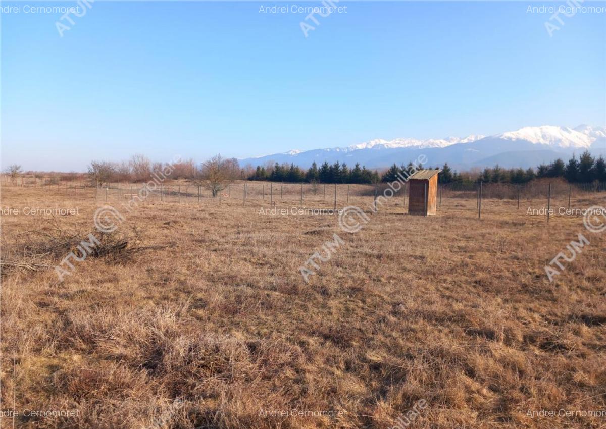 Teren intravilan 7900 mp de pe Valea Avrigului - 10