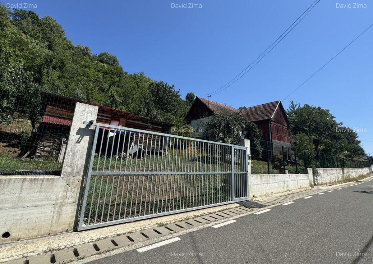 De vanzare Casa cu teren 3500MP in Sabisa/Maramures - 1