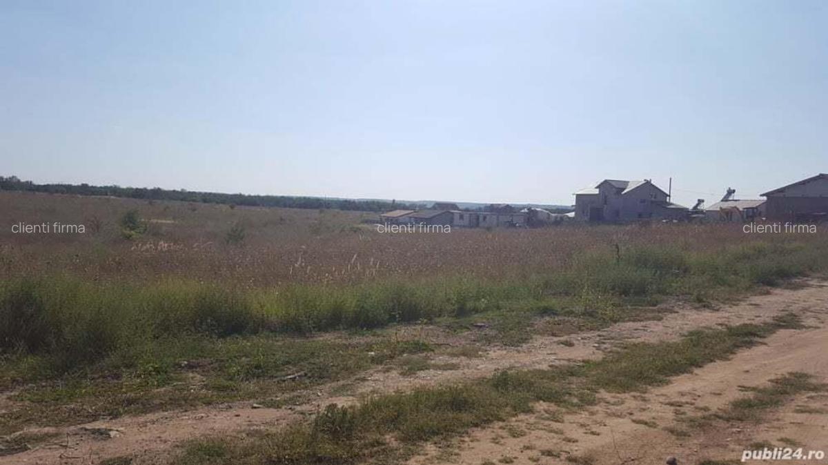 Teren Capsunarie, str. Crizantemelor - 4 Teren Capsunarie, str. Crizantemelor - 4