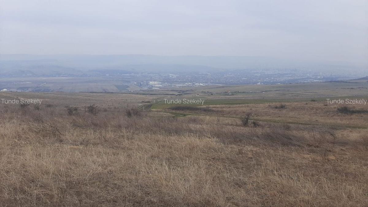 Teren agricol pentru investitii, zona Valea Calda -Iris - 6