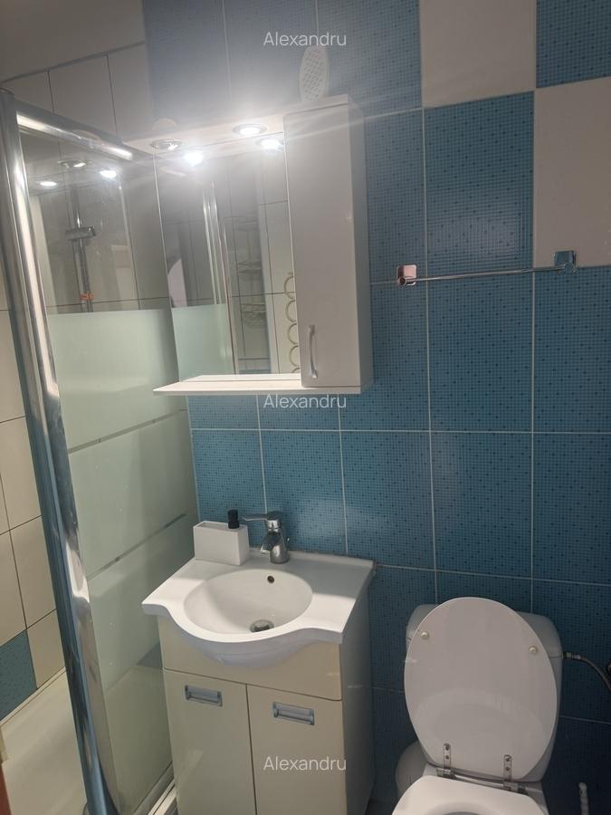 Apartament 2 camere de inchiriat Victoriei - 2